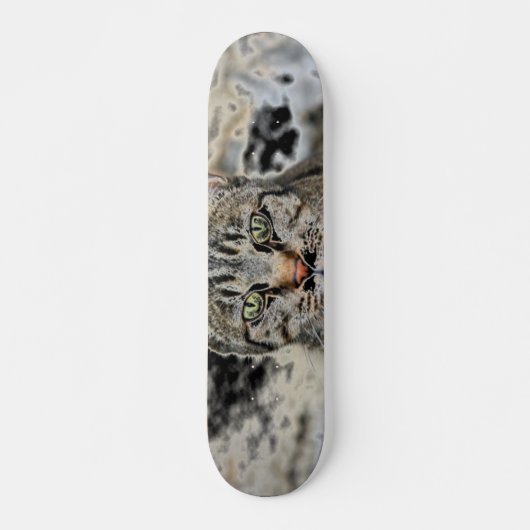 Egyptisch skateboard (Voorkant)