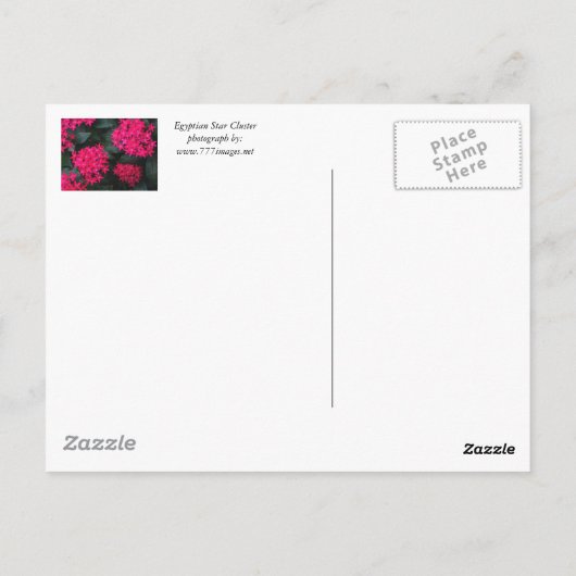 Egyptisch Star Flower Briefkaart (Achterkant)