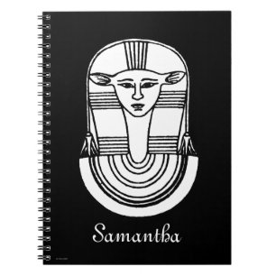 Egyptisch symbool: Hathor Notitieboek