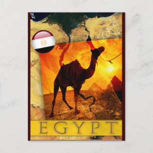 EGYPTISCHE CAMEL BRIEFKAART