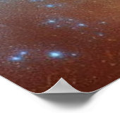 Egyptische Farao met Koning Cobra Poster (Hoek)