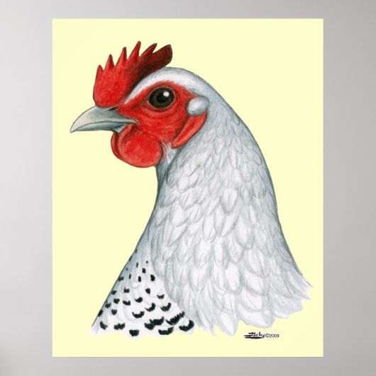 Egyptische Fayoumi: Silver Hen Poster (Voorkant)