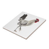 Egyptische Fayoumis Rooster Tegeltje (Zijkant)