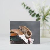 Egyptische gans briefkaart (Staand voorkant)