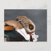 Egyptische gans briefkaart (Voorkant)