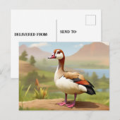 Egyptische Gans door water Briefkaart (Voorkant / Achterkant)