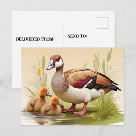 Egyptische Gans met eendjes Briefkaart (Voorkant / Achterkant)
