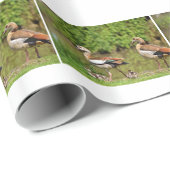 Egyptische ganzen en kuikens cadeaupapier (Rol Hoek)