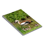 Egyptische ganzen en kuikens notitieboek (Rechterzijde)