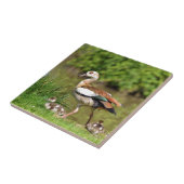 Egyptische ganzen en kuikens tegeltje (Zijkant)