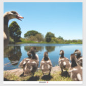 Egyptische ganzen sticker (Vel)