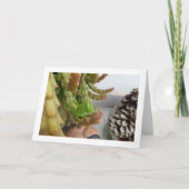 Egyptische Grasshopper Nymph op Carrion Cactus Pla Kaart (Voorkant)