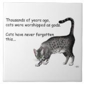 Egyptische Grijze Tabby Cat Tegeltje (Voorkant)