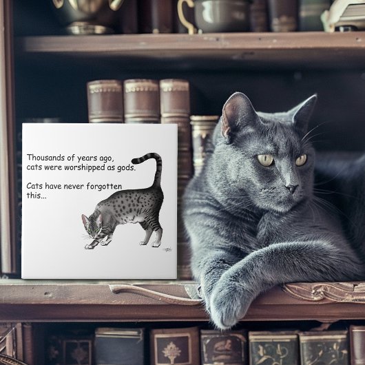 Egyptische Grijze Tabby Cat Tegeltje