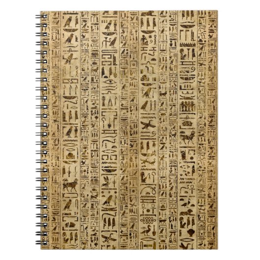 Egyptische hiërogliefen op papyrus notitieboek (Voorkant)