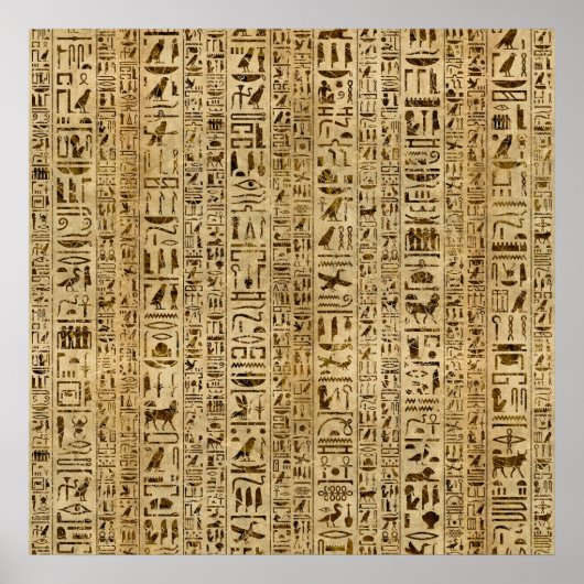 Egyptische hiërogliefen op papyrus poster (Voorkant)