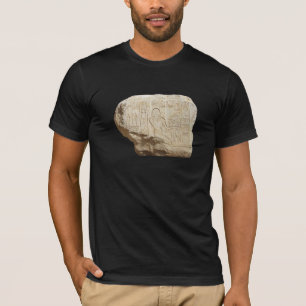 Egyptische hiërogliefshirt - kies stijl en kleur t-shirt