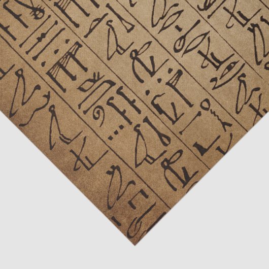 Egyptische Hieroglyphics Paper Print Tissuepapier (Detail)