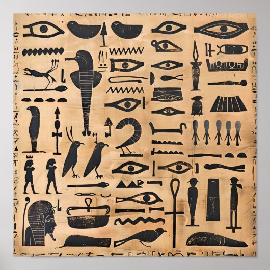 Egyptische Hieroglyphics Poster (Voorkant)