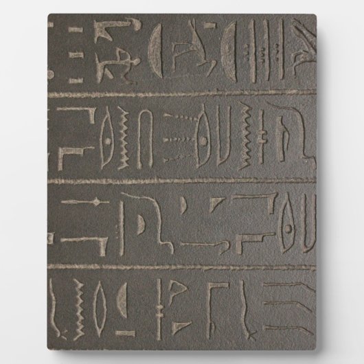 Egyptische Hieroglyphs Ancient Egypt die symbolen Fotoplaat (Voorkant)