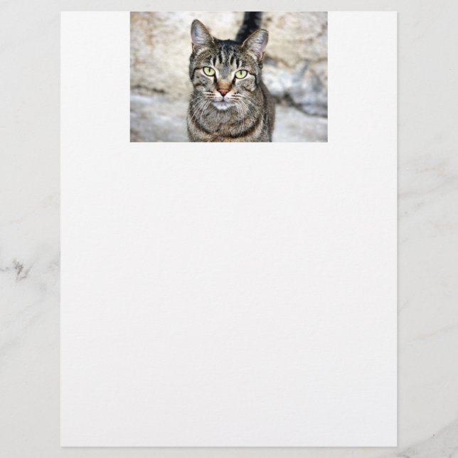 Egyptische hoofdletter Cat (Voorkant)