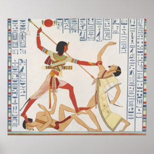 Egyptische illustratie Poster