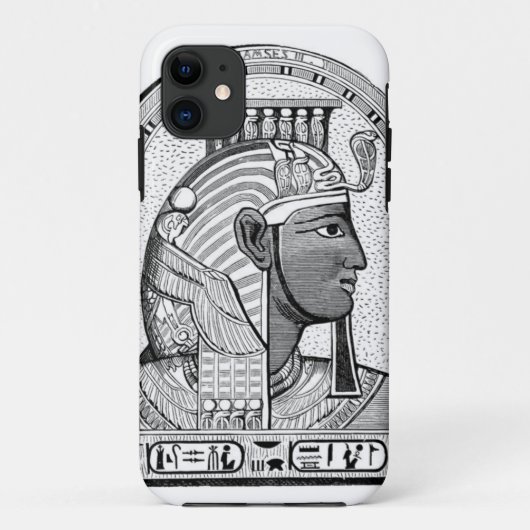 Egyptische iPhone Case (Achterkant)