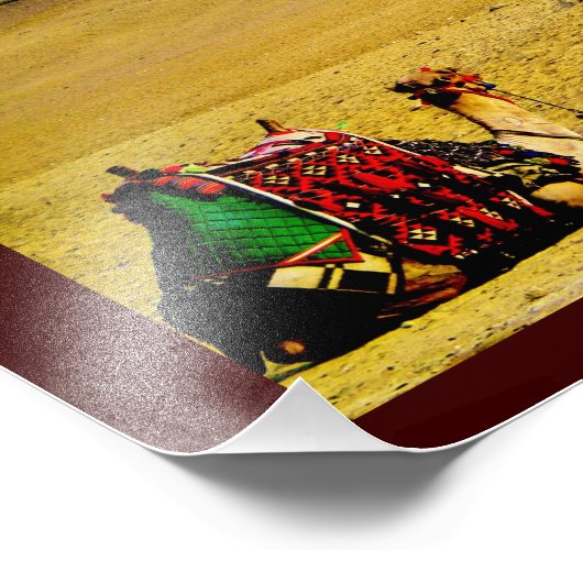 Egyptische kamelen foto afdruk (Hoek)