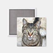 Egyptische Kat Magneet (Voorkant / Achterkant)