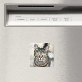 Egyptische Kat Magneet (Insitu (Vaatwasser))