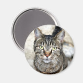 Egyptische kat magneet (Voorkant / Achterkant)