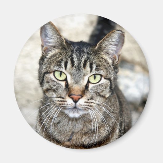 Egyptische kat magneet (Voorkant)