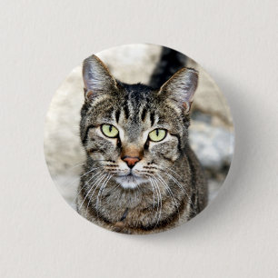 Egyptische kat ronde button 5,7 cm