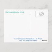 EGYPTISCHE KONINGIN OP BRIEFKAART (Achterkant)