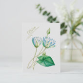 Egyptische lotusbloem Briefkaart (Staand voorkant)