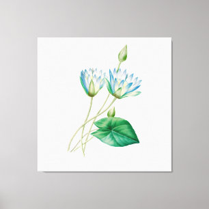 Egyptische lotusbloem Canvas Afdruk