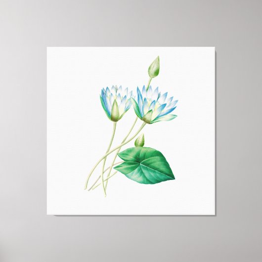  Egyptische lotusbloem Canvas Afdruk (Voorkant)