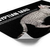 Egyptische Mau Cat Breed Poster (Hoek)