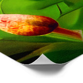 Egyptische Mau Cat in een Midnight Garden Poster (Hoek)