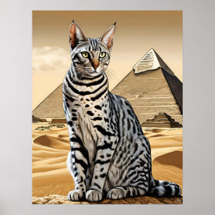 Egyptische Mau Cat - Kunstdruk Poster