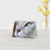 Egyptische Mau Kaart (Gele Bloem)