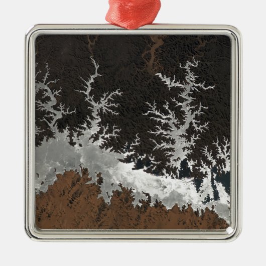 Egyptische meer van Nasser Metalen Ornament (Voorkant)