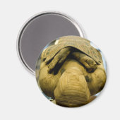 Egyptische mummie magneet (Voorkant / Achterkant)