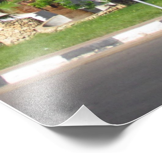 Egyptische palmbomen foto afdruk (Hoek)