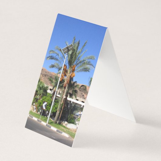 Egyptische palmbomen kaart (Voorkant)