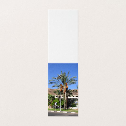 Egyptische palmbomen kaart (Buitenkant ongevouwen)