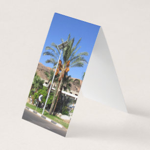 Egyptische palmbomen kaart