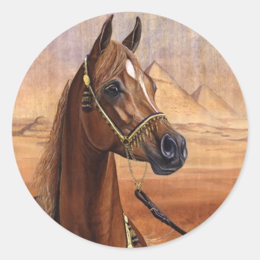 Egyptische prinses Arabisch paard stickers (Voorkant)