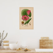 Egyptische roze waterlelie |  botanische print (Keuken)