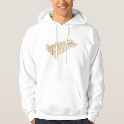 Egyptische tempel hoodie (Voorkant)
